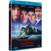 Remando Al Viento (Import Movie) (European Format - Zone B2)