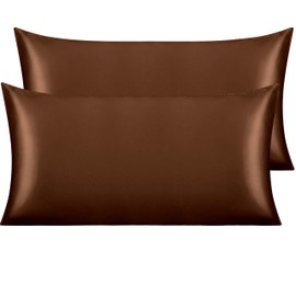 NTBAY 2 Pack Satin King Pillowcases for Hair and Skin, Luxurious and Silky Pillow Cases with Envelope Closure, 20 x 36 Inches, Brown
