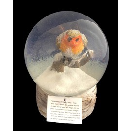 Heaven Sends - Snowglobe With Robin