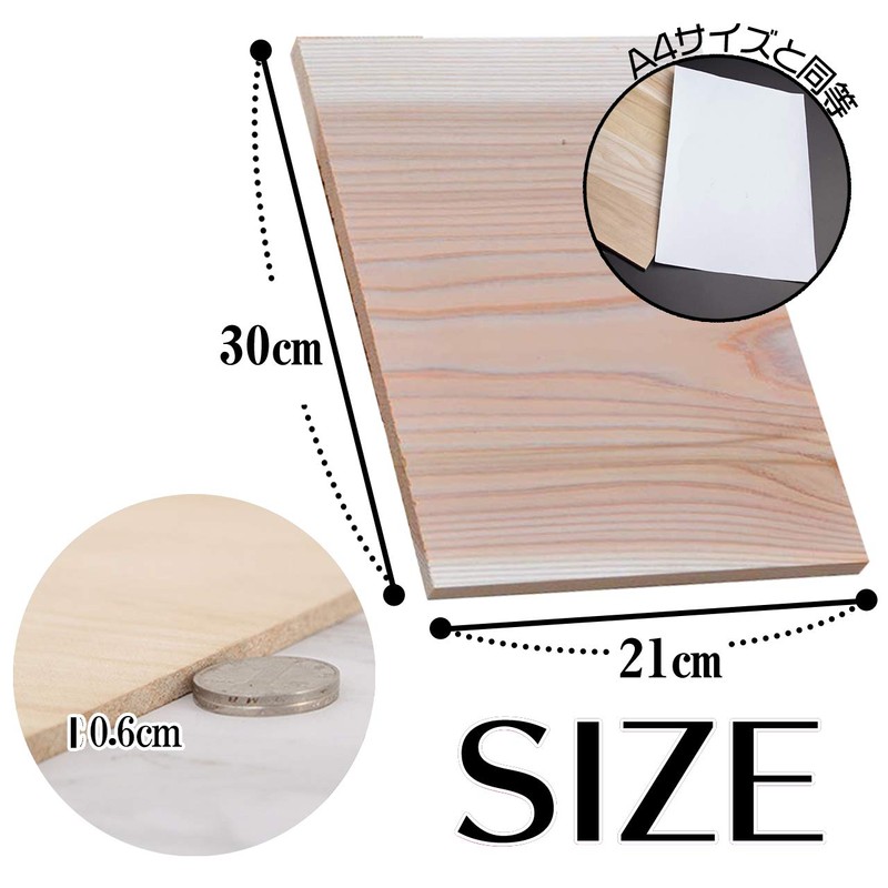 Fermoire Karate Splitting Board Demonstration Beginners Prototype 8.3 x 11.8