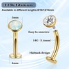 REVOLIA 2Pcs 14G F136 Titanium Floating Belly Button Rings for