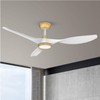 Roomratv Ceiling Fans with Lights,Large Airflow 52inch Modern Ceiling Fan