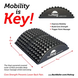 The Hog - Pilates Hedgehog Training/Back Stretcher/Abdominal Trainer/AB Mat. Exercise Sit Up & Core Exerciser Mat for Full Range of Motion & Ab Workouts