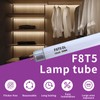 Accway (6 pack) F8T5/DL 6500K 12’’ Linear Fluorescent Light Bulb,