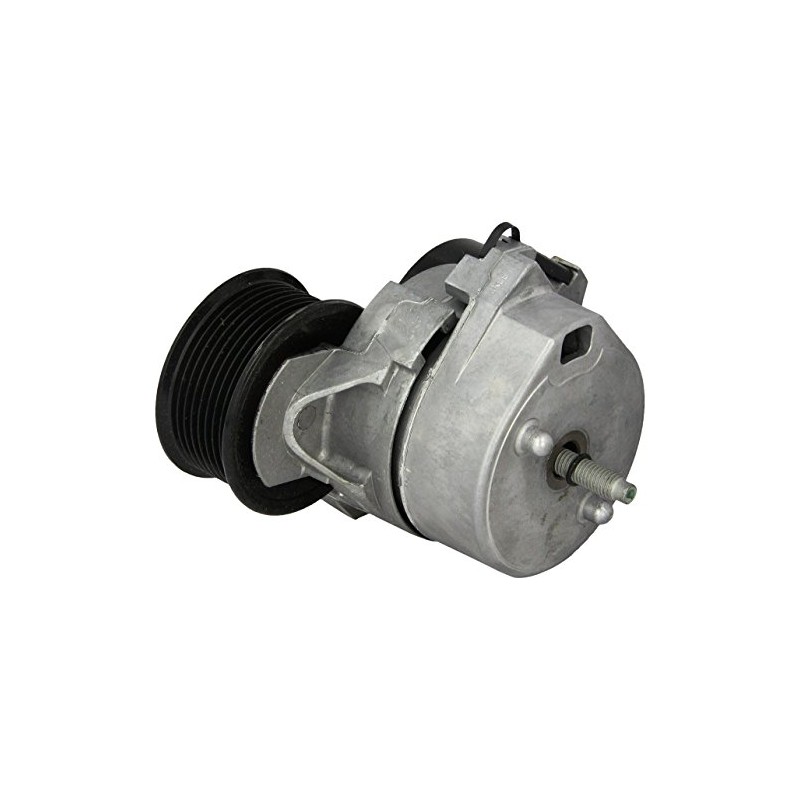Motorcraft BT-50 Belt Tensioner