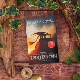 How to Train Your Dragon: Book 1 - Read the hilarious first book that inspired the films