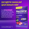 Nauzene Non-drowsy Upset Stomach & Nausea Relief Chewable Tablets -
