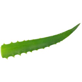 Aloe Arborescens Juice