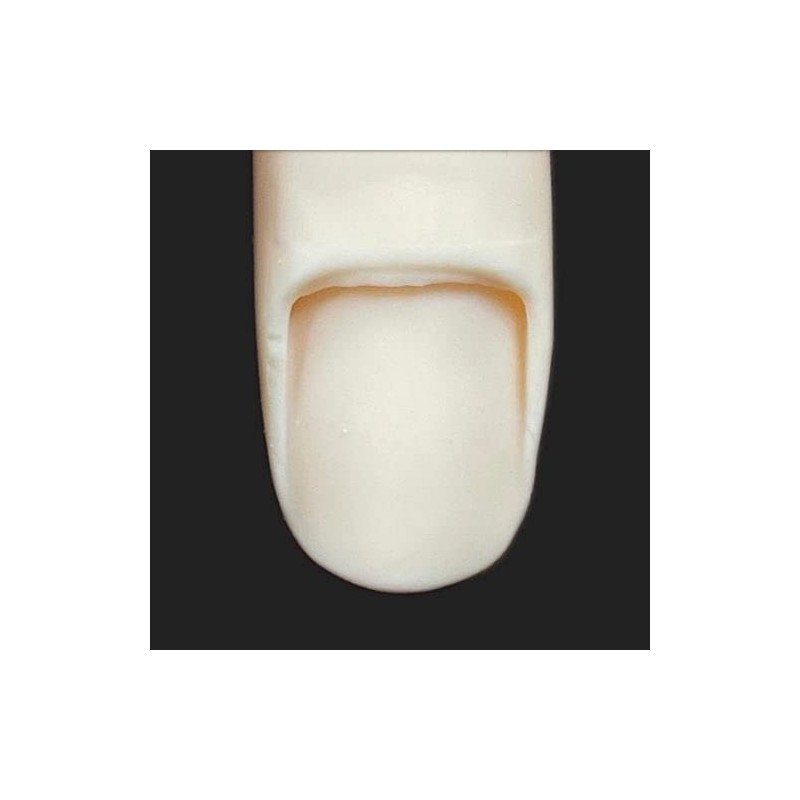 ST Model Hand Right Hand (JNEC 1st Certified Model Hand)