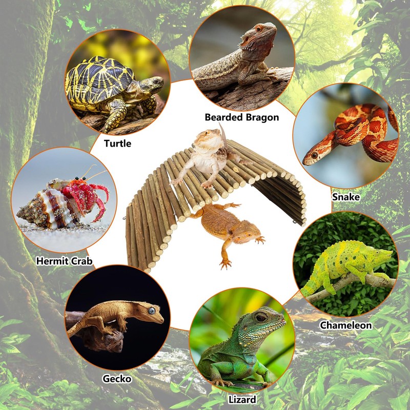 BNOSDM Large Reptile Hide Tortoise Hideout Bearded Dragon Wooden Bridge