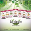 Seba Garden Leinsamen/Flaxsamen 1 kg, Premiumqualität, frisch geerntet, reich an