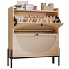 IRONCK Shoe Cabinet Storage with 2 Flip Drawers, Free Standing