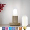 Leools E26 Frosted Edison Bulb 4W Equivalent E26 LED Bulb
