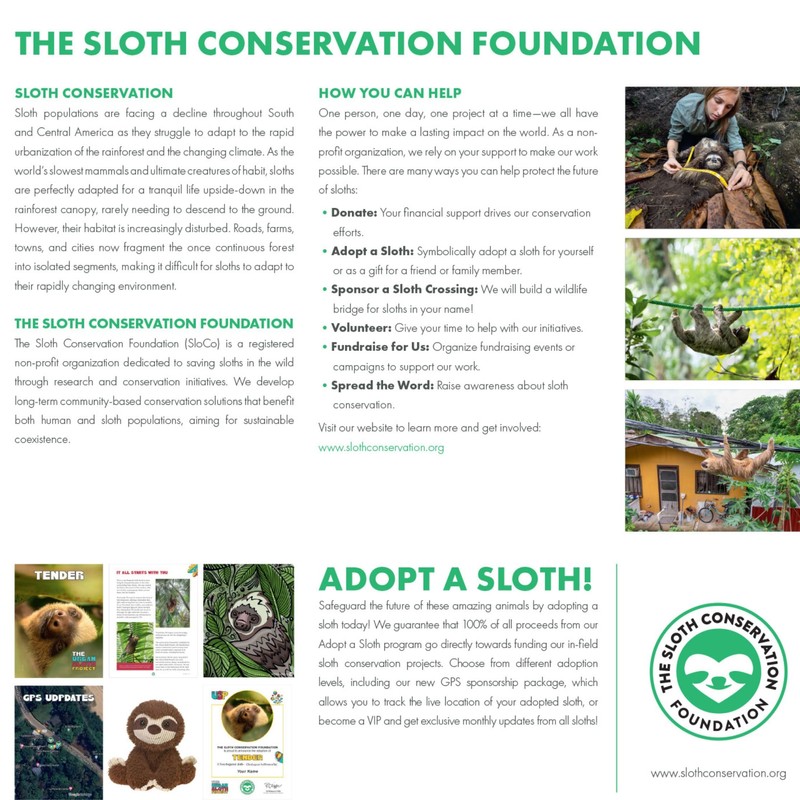 SLOTHS 2025 Wall Calendar
