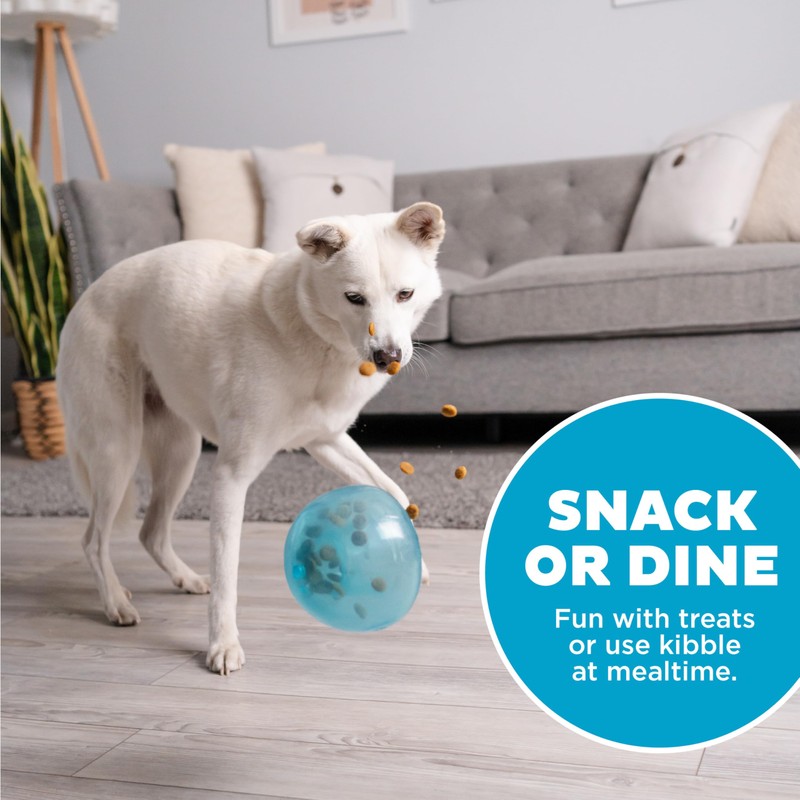 Outward Hound Outward Hound by Planet Dog Snoop Interactive Treat