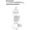 Pool Ruler DEX2400Z5 O-Ring Two Pack + Lubricant for Hayward
