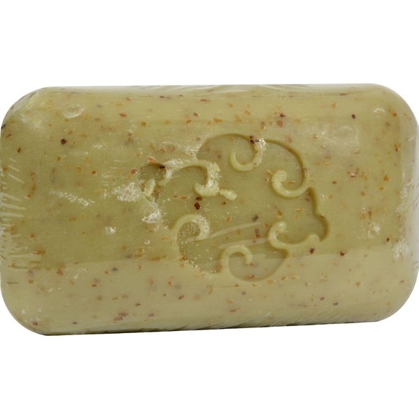 Baudelaire Hand Soap Sea Loofah - 5 oz6