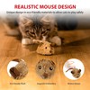 Gigwi Interactive Cat Toy Mouse, Moving Automatic Cat Toys Mice