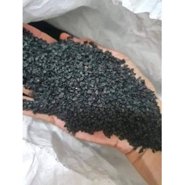 Hat giong Hanh Huong chiu nhiet Green Bunching Onion Seeds - 750++ Seeds Non-GMO Non-GMO, Perennial, Organic, Open-pollinated, Heirloom, Cold Tolerant, bunching Onion.