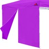 SCOCANOPY Door for 10x10 Canopy Frame One Central Zipper Design