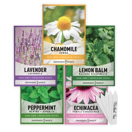Gardeners Basics, Herbal Tea Seeds for Planting Indoors and Outdoors 5 Variety Packets Echinacea, Peppermint, Lavender, Chamomile and Lemon Balm - Great for Kitchen Herb Garden Heirloom Herb Seeds