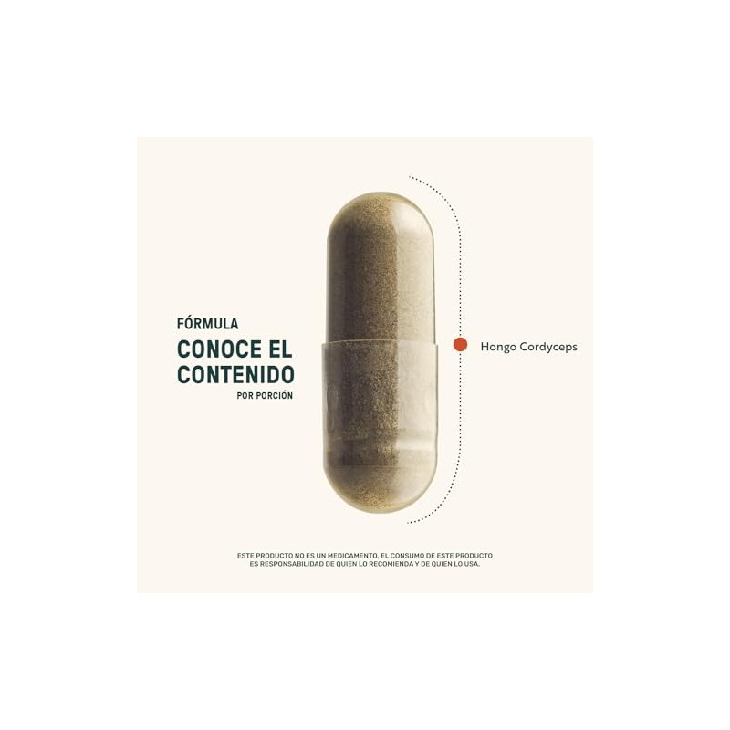 LIFE 360 Cordyceps Extracto Puro de Hongo Cordyceps 1200mg, 90