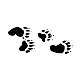 Ranger Products Bear Tracks Decal Sticker, Die Cut Vinyl Decal for Windows, Cars, Trucks, Tool Boxes, laptops, MacBook - virtually Any Hard, Smooth Surface