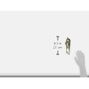 Surtek 115086 Pinza para hojalatero de presión de 8"