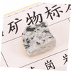KICHOUSE Geology Classroom Essential 12 Piece Mineral Rock Specimen Kit