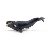 Papo - Hand painted - Animal Figures - Right whale