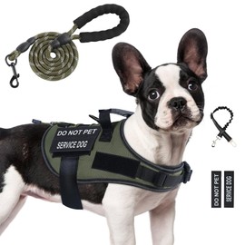 No Pull Dog Harness Small Medium Sized Dog, Service Dog Harness and Leash Set with 4 Patches, Adjustable Easy Walk Dogs Harnesses with Handle, Dogs Vest Harnesses French Bulldog, Chihuahua(Green, S)