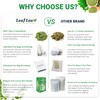 LeafLea 80 Premium Moringa Tea Bags, Moringa Herbal Tea, Made