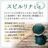 Fine Japan Fine Superfood Spirulina & Lactobacillus x Enzyme, Beta-Carotene,