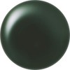 Cocoist E-224 Color Gel 0.1 oz (2.5 g), Midnight Forest