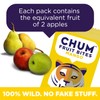 Chum Fruit Bites 100% Real Fruit Snacks | Mango, 40