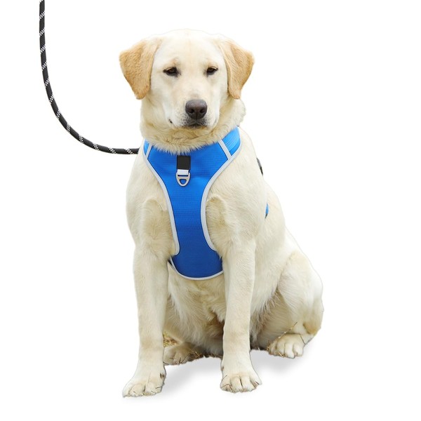 Lucky Hank Dog Harness for Medium Dogs No Pull, Adjustable