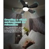HK Socket Fan Light, 20 Inch Screw Ceiling Fans with