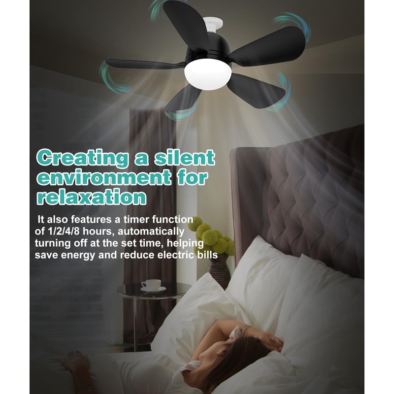 HK Socket Fan Light, 20 Inch Screw Ceiling Fans with