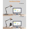 LEPOWER Eye-Caring Reading Metal Lamp for Bedroom, Adjustable Goose Neck