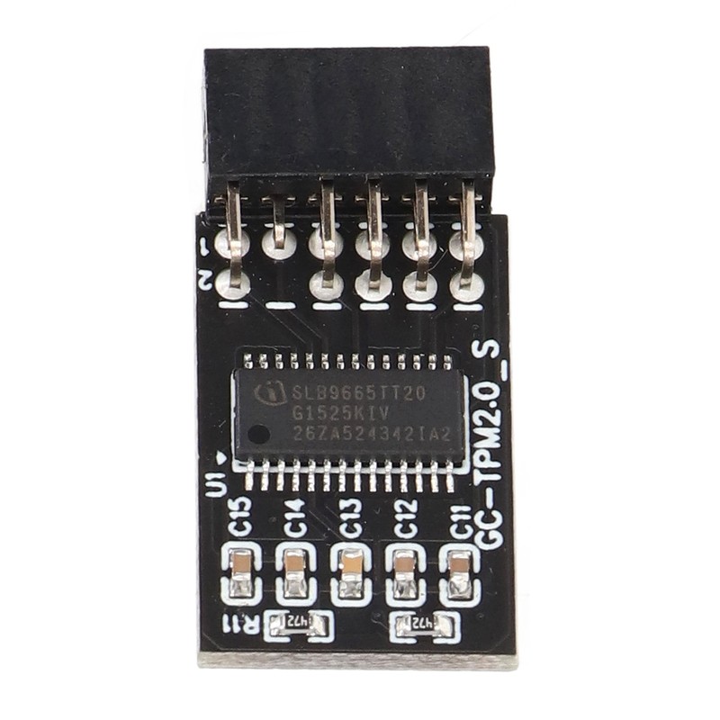 TPM 2.0 Module LPC SPI 12Pin Remote Card Encryption Security