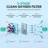 Oxygen Concentrator Intake Filter Replacement for EverFlo and EverFlo Q
