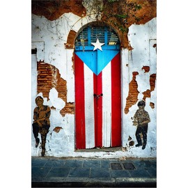 ART.COM Canvas Wall Art Prints Puerto Rican Flag Door by George Oze, Places Decor, 24" x 36"