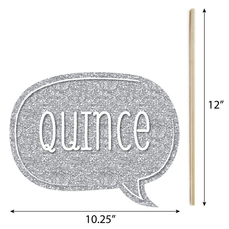 Big Dot of Happiness Quinceanera Purple - Sweet 15 -