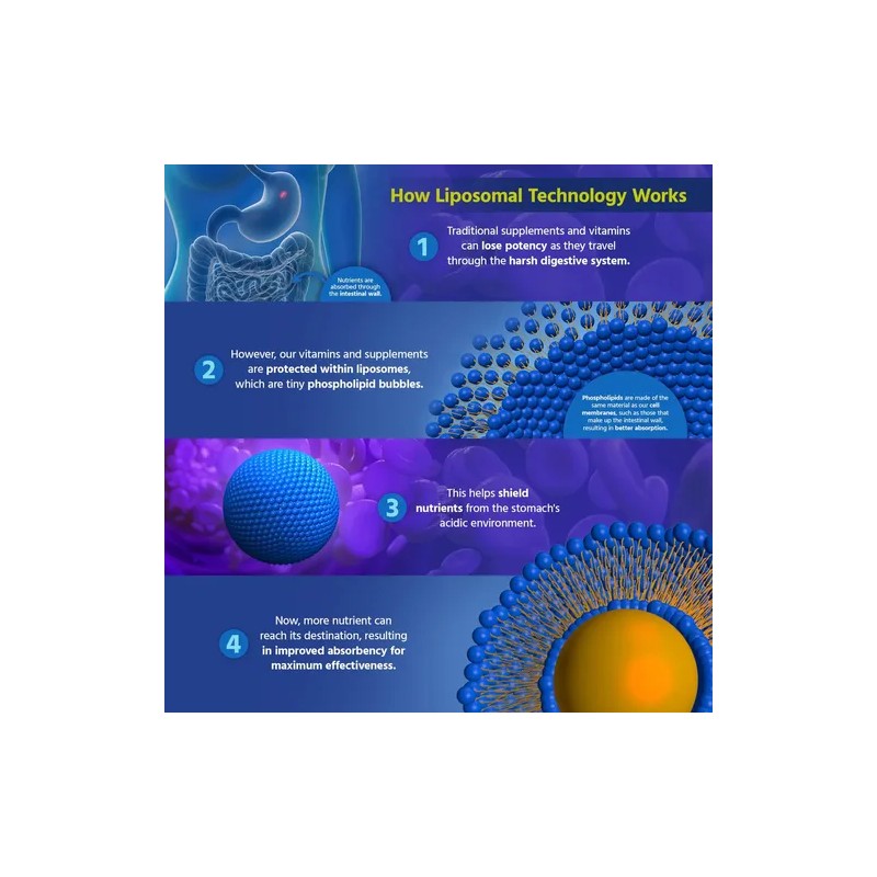 Core Med Science Vitamina Liposomal 1000mg 180 Cápsulas