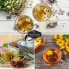 Medicinal Tea Seeds Collection - 9 Non-GMO Heirloom Herbs to