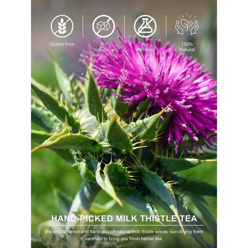 TeeLux Milk Thistle Tea Bags, Natural Milk Thistle Seed Tea,