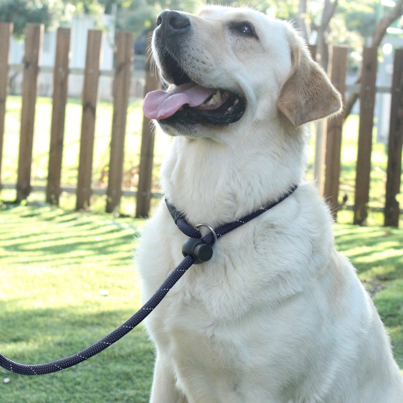 Hiado Slip Lead Dog Leash Reflective with Stopper Loop Rope