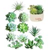 S.fields.inc Artificial Succulents Set Artificial Flower Mini Artificial Houseplant Fake