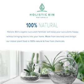 Holistic Bin Organic Succulent Fertilizer | All Natural Cactus & Succulent Plant Food Made with Atlantic Sea Kelp & Shilajit | Chemical Free and Safe for Indoor House Plants | 50 Gallon Supply