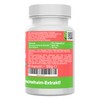 Horsetail Capsules - High Dose 500 mg Tin Herb -